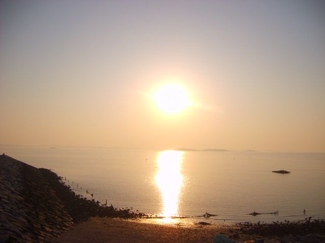 바다구경하세요 